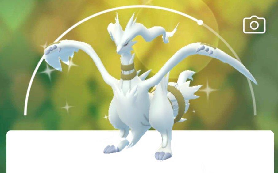 Can Reshiram Be Shiny in 'Pokémon GO'?