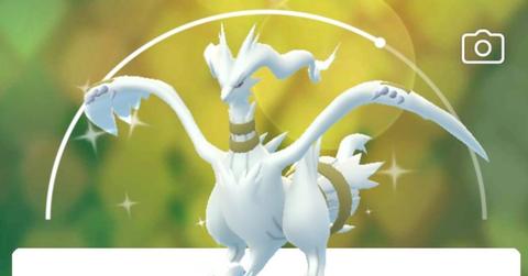 Shiny Reshiram in 'Pokémon GO"