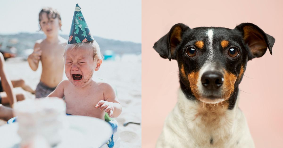 Kids vs Dogs: Who Behave Better in Public?