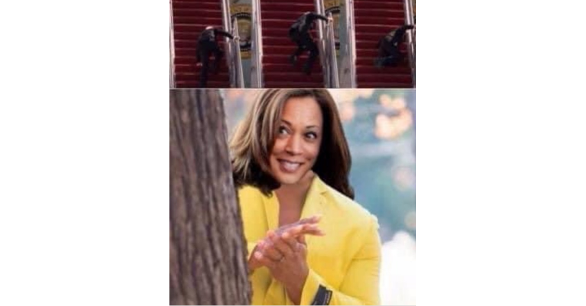 kamala harris biden tripping memes