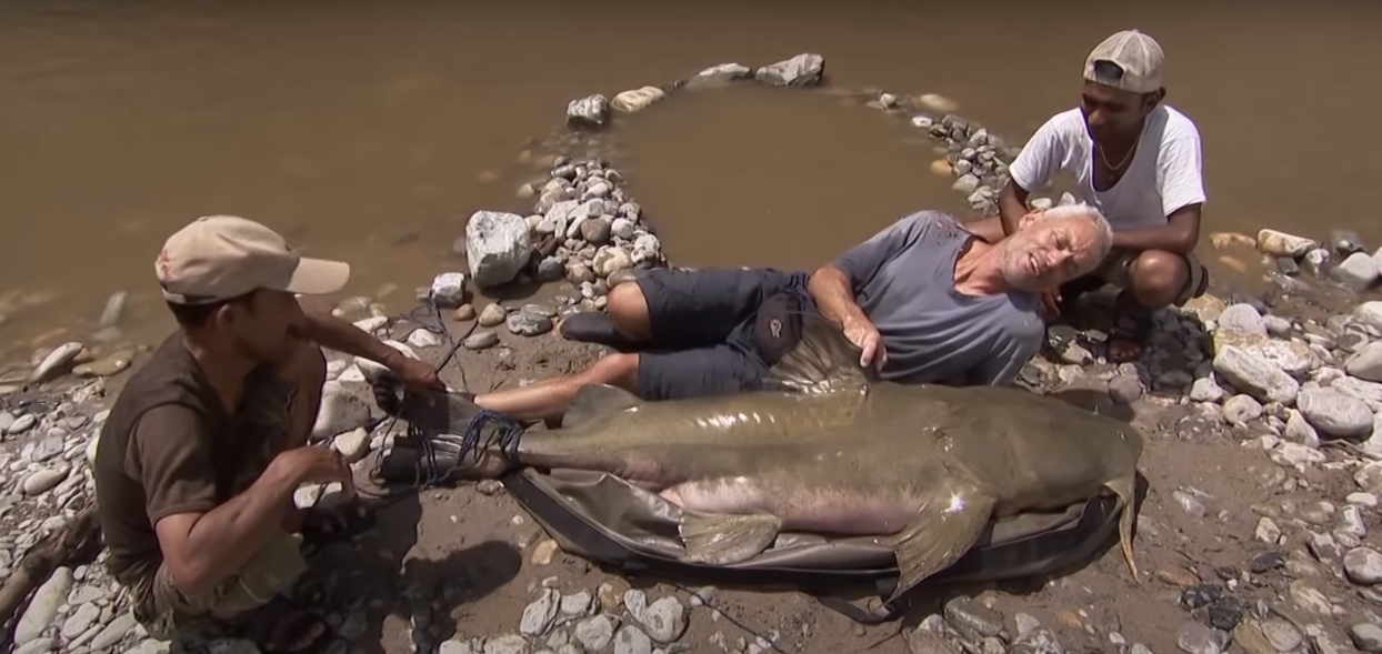 Goliath Tigerfish and other river monsters - what's real and what's fake?  