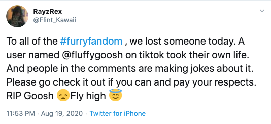 what happened fluffy goosh tiktok