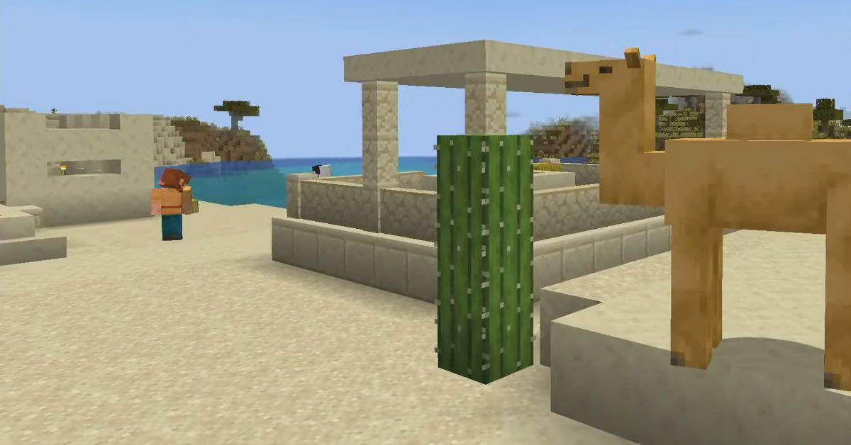 What Do Camels Eat in Minecraft? Plus, How to Feed Them