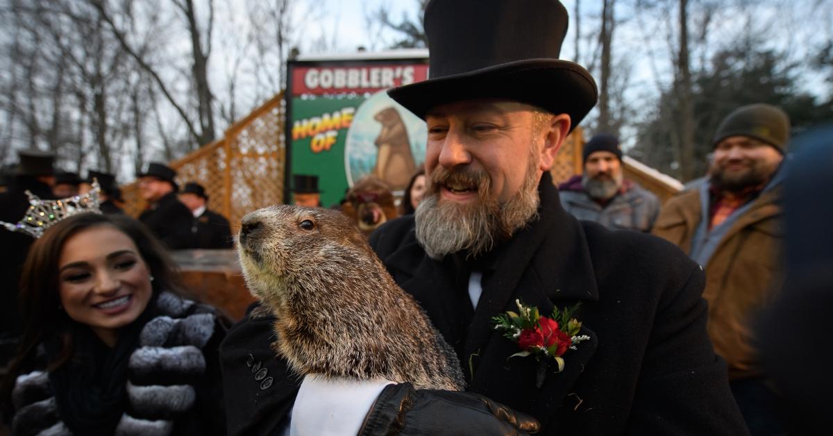 groundhog day celebration