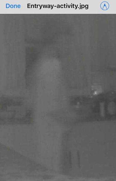 ghost on nest camera