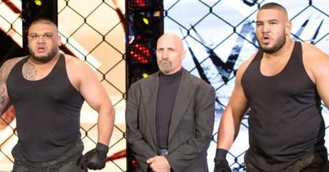 authors of pain wwe