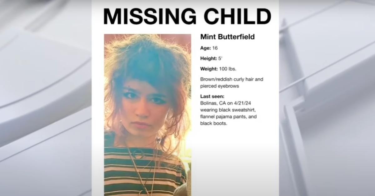 Missing persons poster for Mint Butterfield