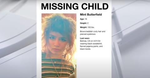 Missing persons poster for Mint Butterfield