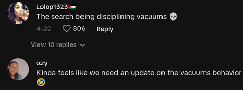 dog owner yells at vacuum tiktok