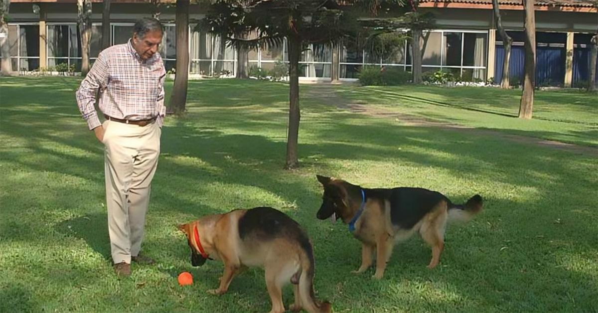 Ratan Tata with two german shepherds. 