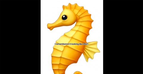 An orange seahorse emoji facing left.