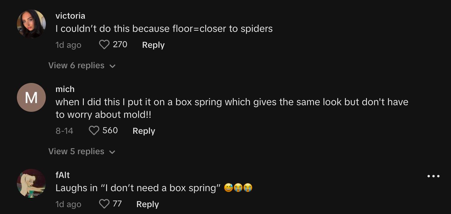 Commenters sharing their thoughts and preferences about box springs and mattresses