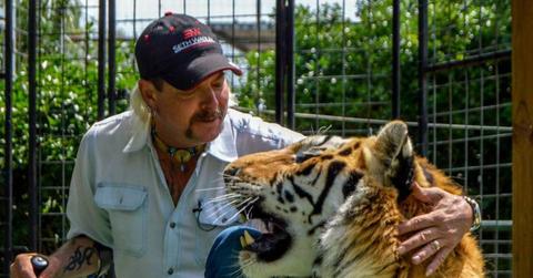 how much did tiger king cast make