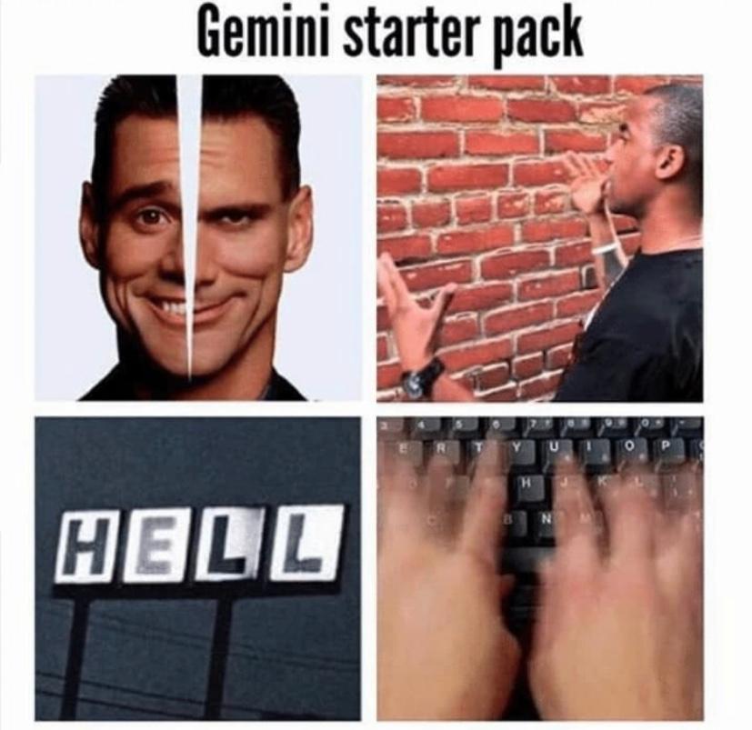 Gemini Meme Images.