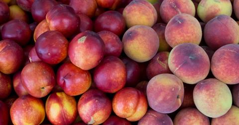 8-food-facts-1568222405913.jpg