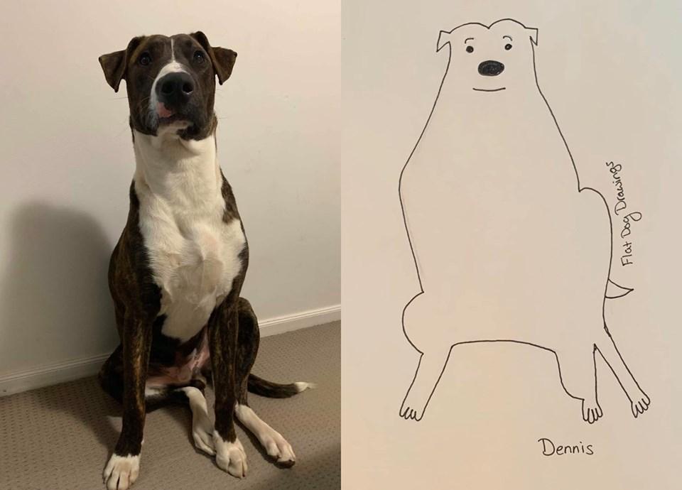 Person Draws Hilariously Simplistic Photos of Their Dogs and Went