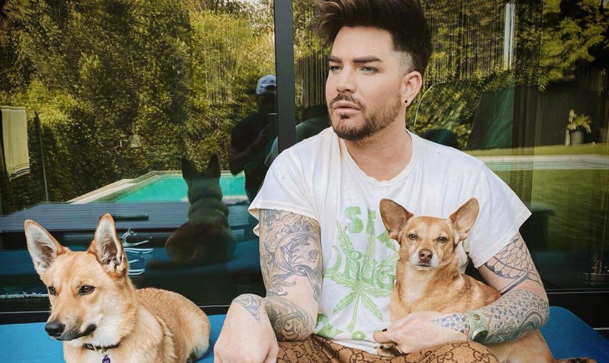 Who Is Adam Lambert's Partner? The Singer Reveals His Current Dating Status