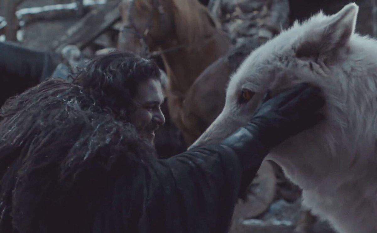 Jon Snow Petted Ghost And It Was The Best Moment Of 'game Of Thrones'