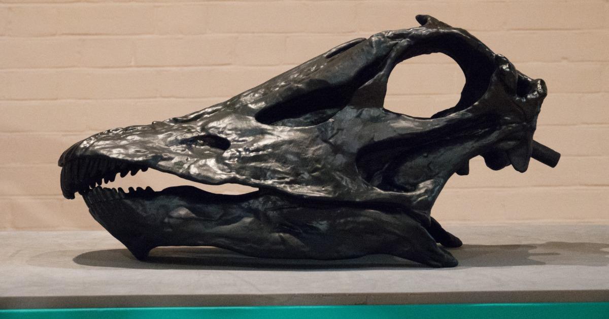 Are Dinosaurs Coming Back in 2050? Here's What We Know