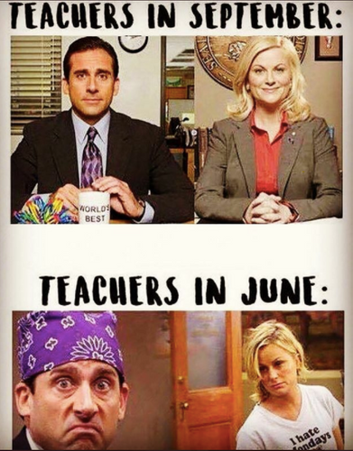 Introducing a Roundup of the Best School Appropriate Memes out There