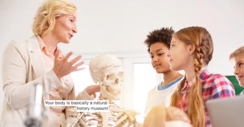 evolution body transformation