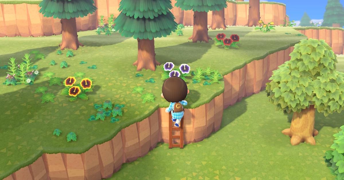 Here's How to Get a Ladder on 'Animal Crossing' to Access the Cliffs