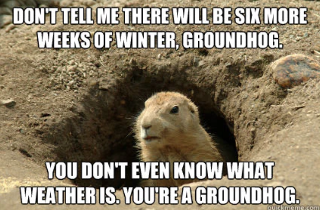 Novel like groundhog day meme