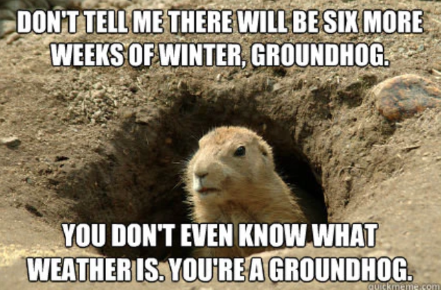 Funny Groundhog Day Memes You Can Laugh at No Matter the Forecast