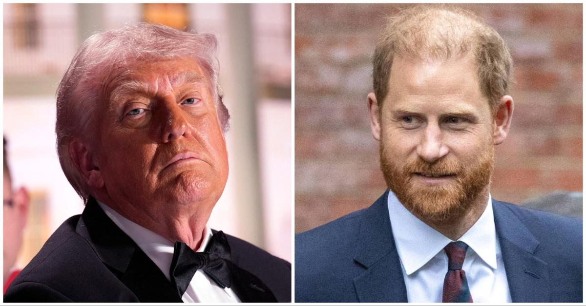 What Did Donald Trump Say About Prince Harry?