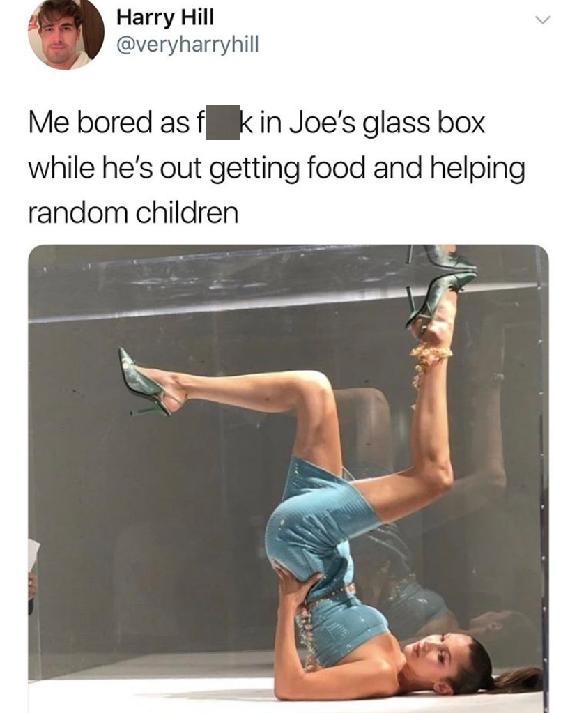 Glass box model meme
