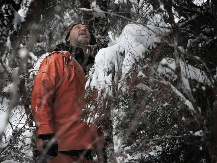 'Port Protection' — Latest News and Updates