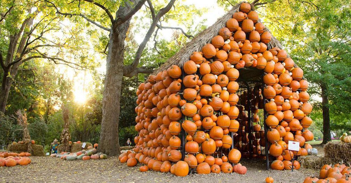 The Best Pumpkin Patches Near Me — Here's Where You Need to Go