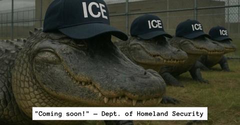 The Department of Homeland Security's meme for Alligator Alcatraz.