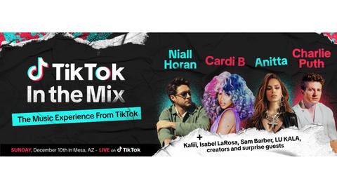 TikTok in the Mix banner