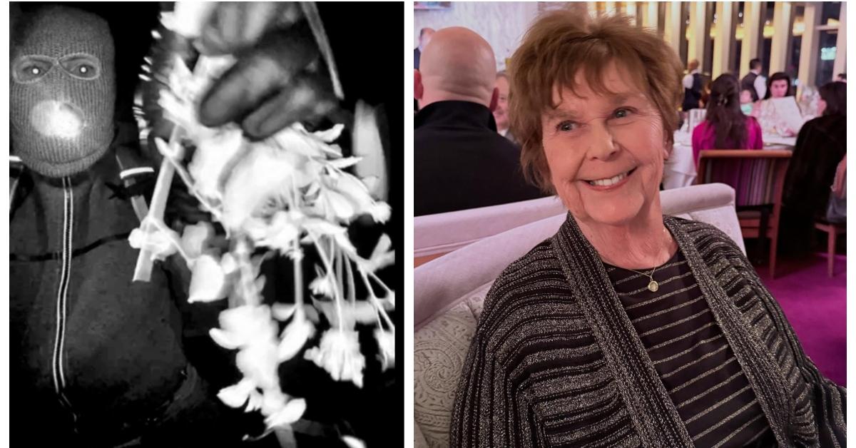 Savannah Guthrie Shares Photos of a Suspect in Her Mother's Kidnapping