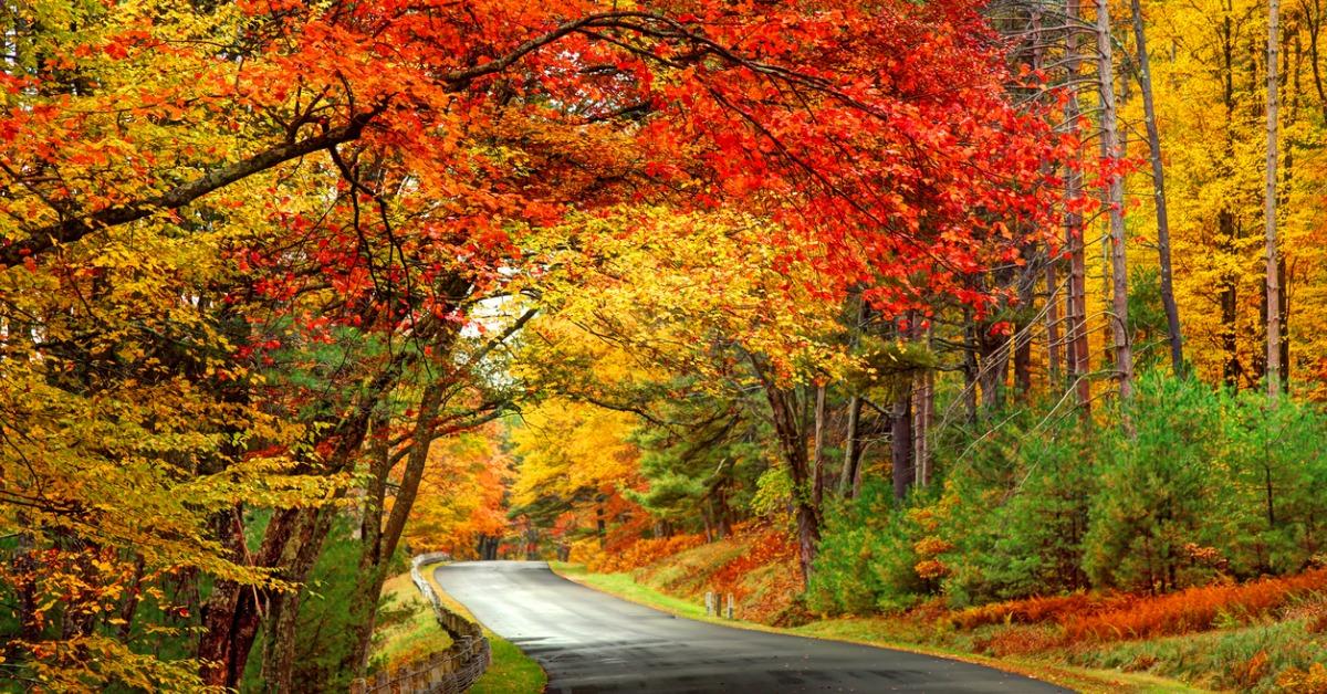 scenic autumn road in the quabbin reservoir park area of picture id