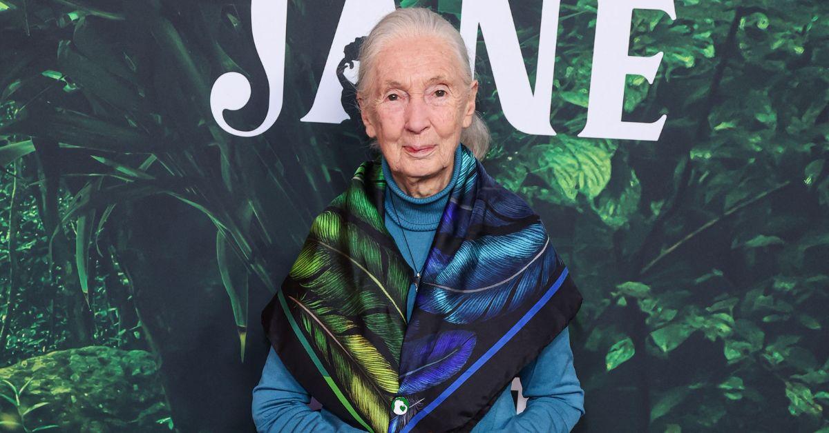 Jane Goodall at the premiere of 'Jane' in 2023. 