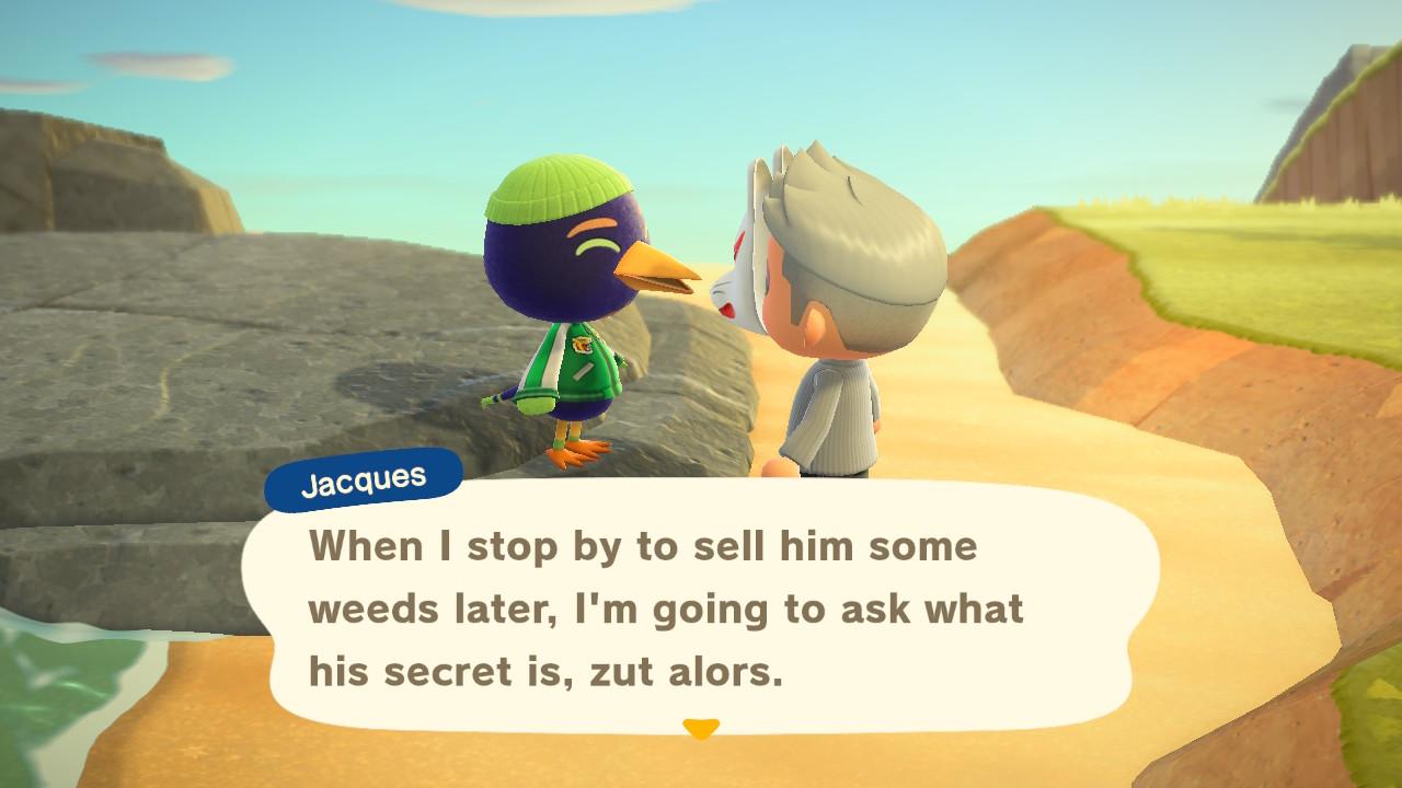 Jacques animal crossing