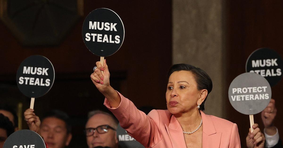 House Democrats hold up signs during President Donald Trump's Congressional address, one sign reading "Musk Steals"