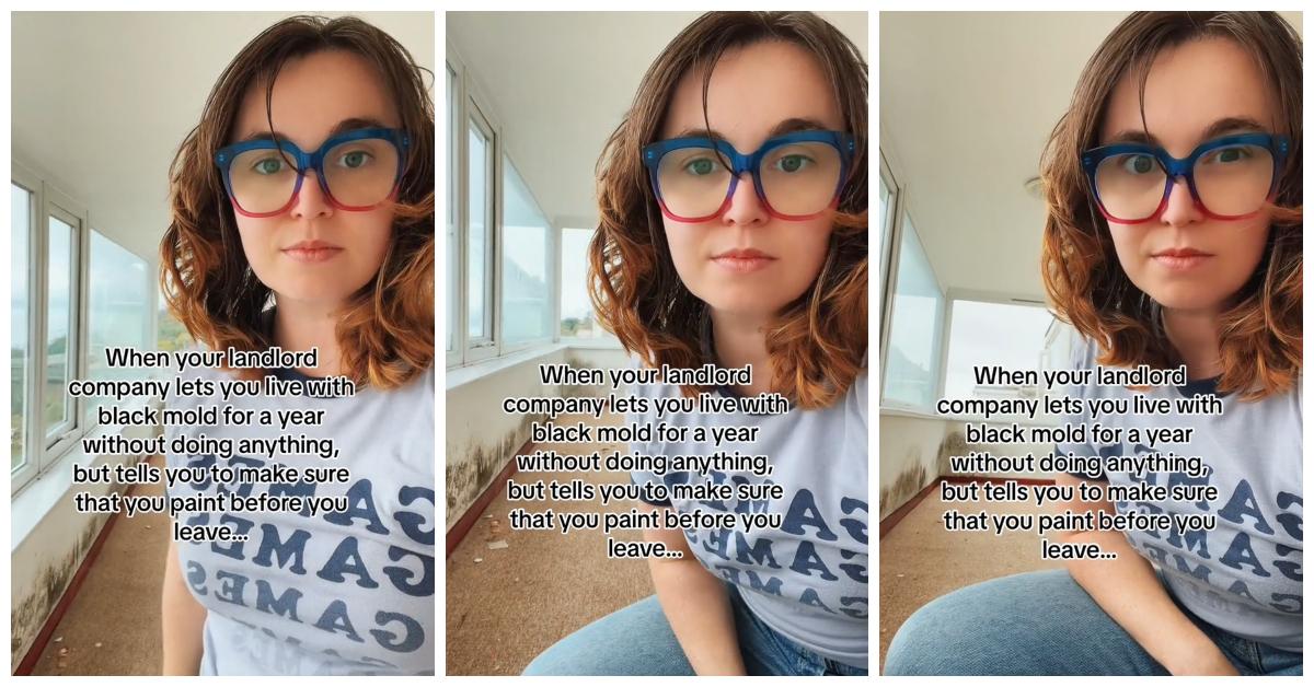 This Landlord Told a Tenant to Paint Over Black Mold