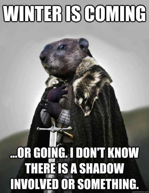 funny groundhog day memes