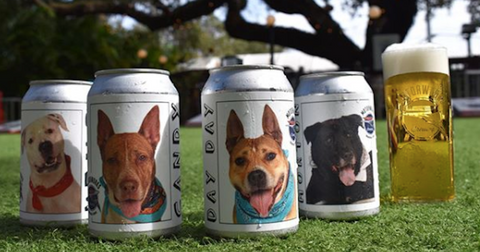 featured-lost-dog-beer-can-1581012695050.jpg