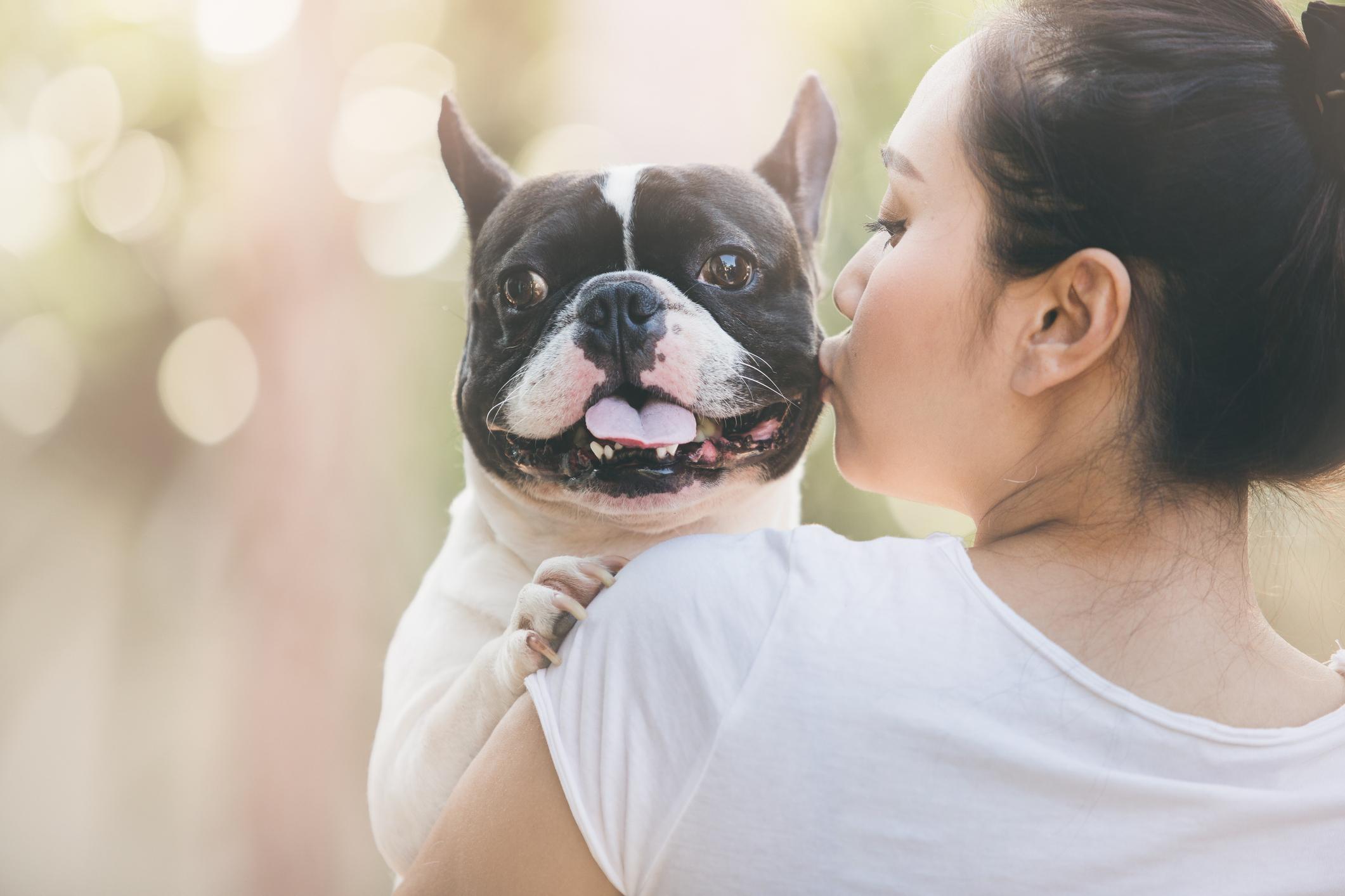 kissing dogs