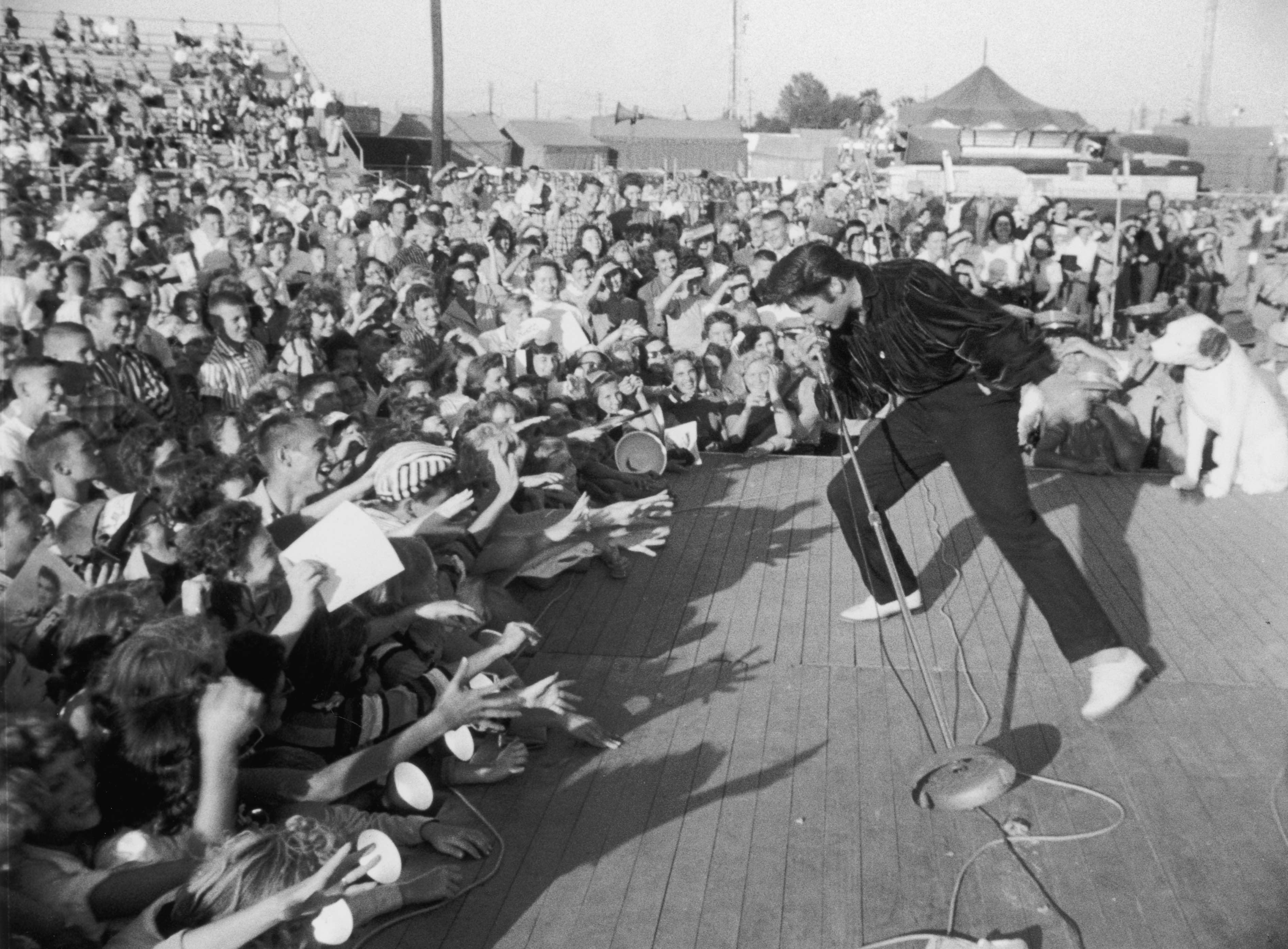 Elvis performs onstage and receives a massive reaction from the crowd.