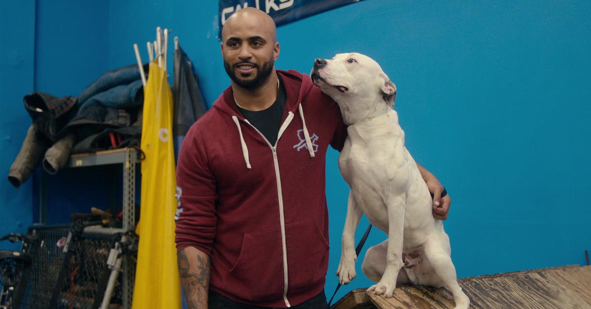 'Canine Intervention' Netflix Controversy Dog Trainers Are Calling to