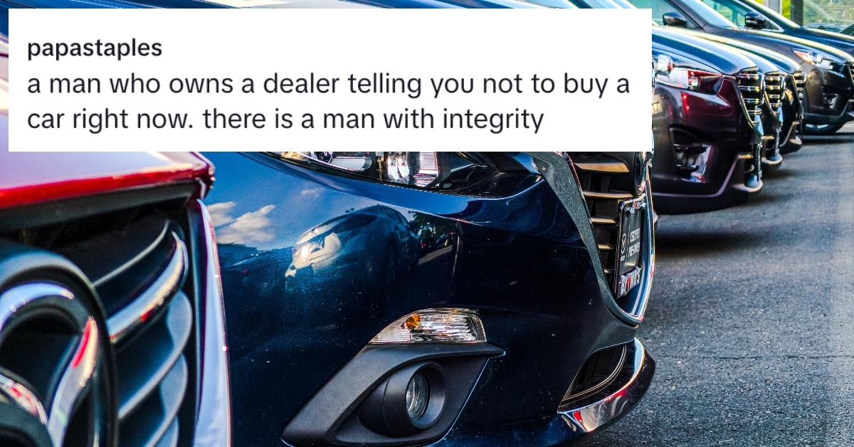 Screenshot of comment under car dealership owner says don't buy car TikTok over photo of cars