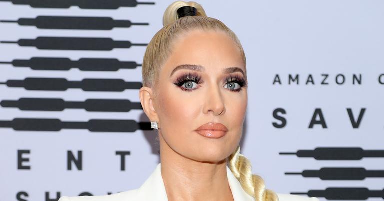 What Is RHOBH’s Erika Jayne’s Net Worth?