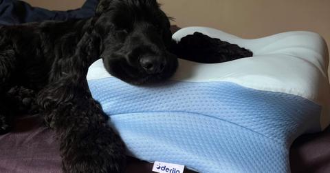 Derila Ergo Pillow