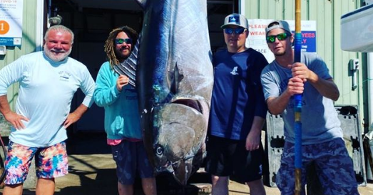 What's the Biggest Payout on 'Wicked Tuna' Someone's Ever Reeled In?