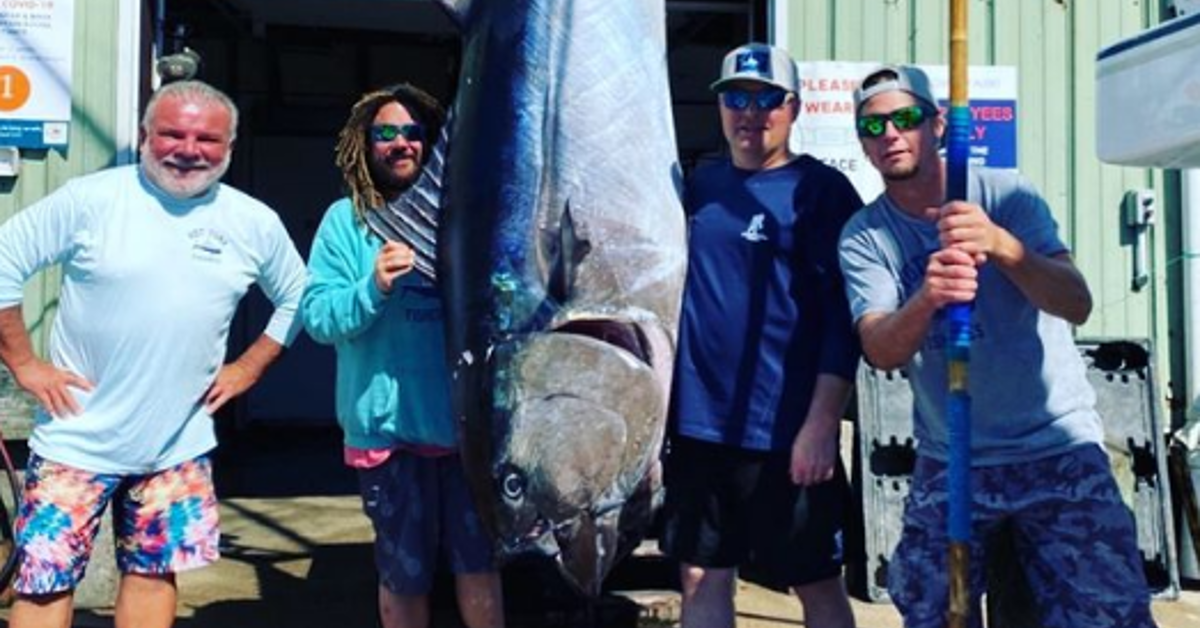 The 6 Best TV Shows About Tuna Fishing